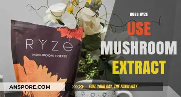 Does Ryze Use Mushroom Extract? Unveiling the Ingredients Truth