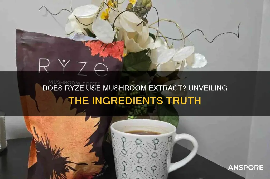 does ryze use mushroom extract