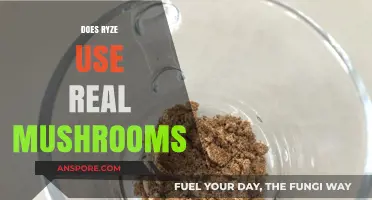 Does Ryze Use Real Mushrooms? Unveiling the Truth Behind the Brand