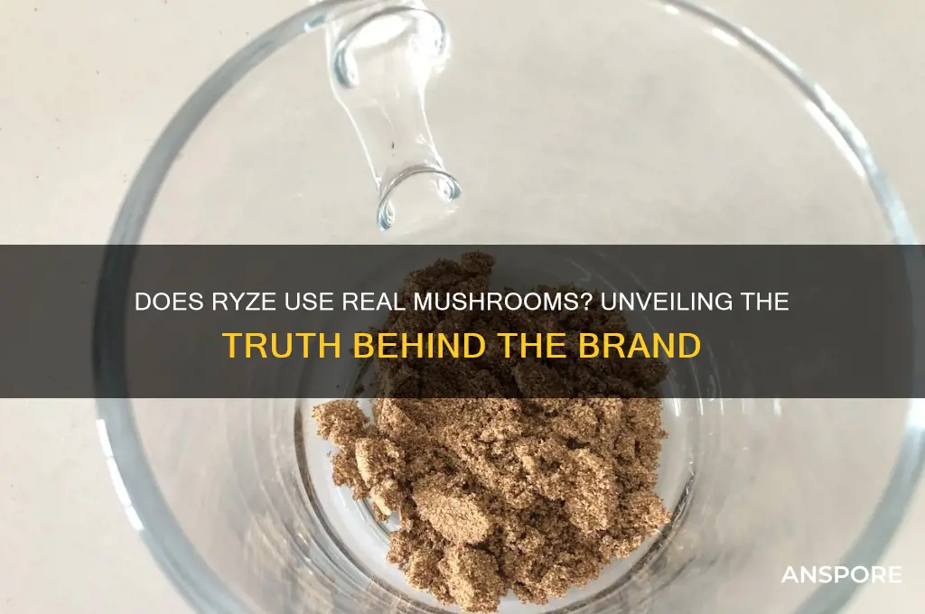 does ryze use real mushrooms