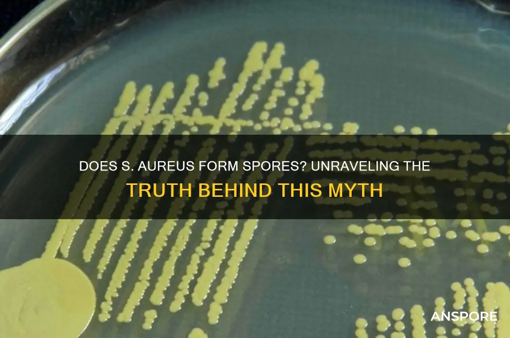 does s aureus form spores