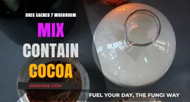 Cocoa and Mushroom Mix: Sacred 7's Secret?