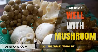 Sage and Mushrooms: A Match Made in Heaven?