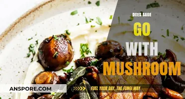 Sage and Mushrooms: A Match Made in Heaven?