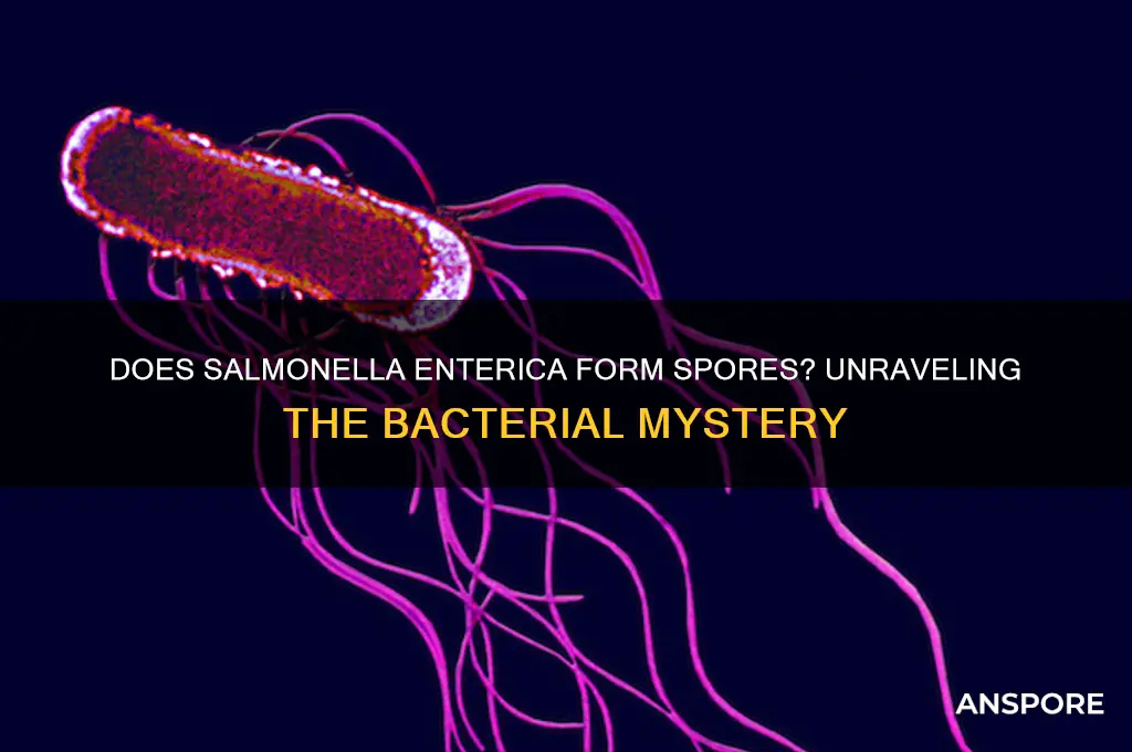 does salmonella enterica form spores