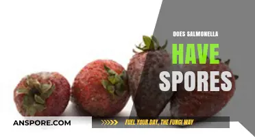 Does Salmonella Form Spores? Unraveling the Truth About Its Survival