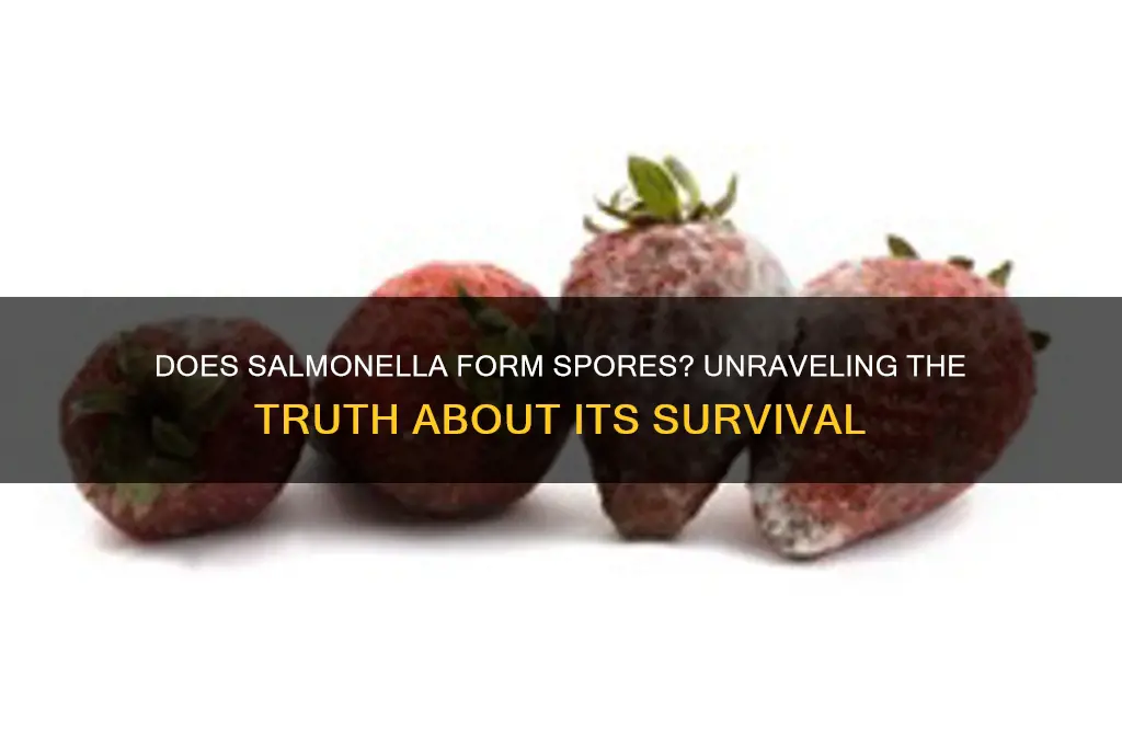 does salmonella have spores