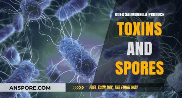 Salmonella's Toxin Production and Sporulation: Unraveling the Pathogen's Mechanisms