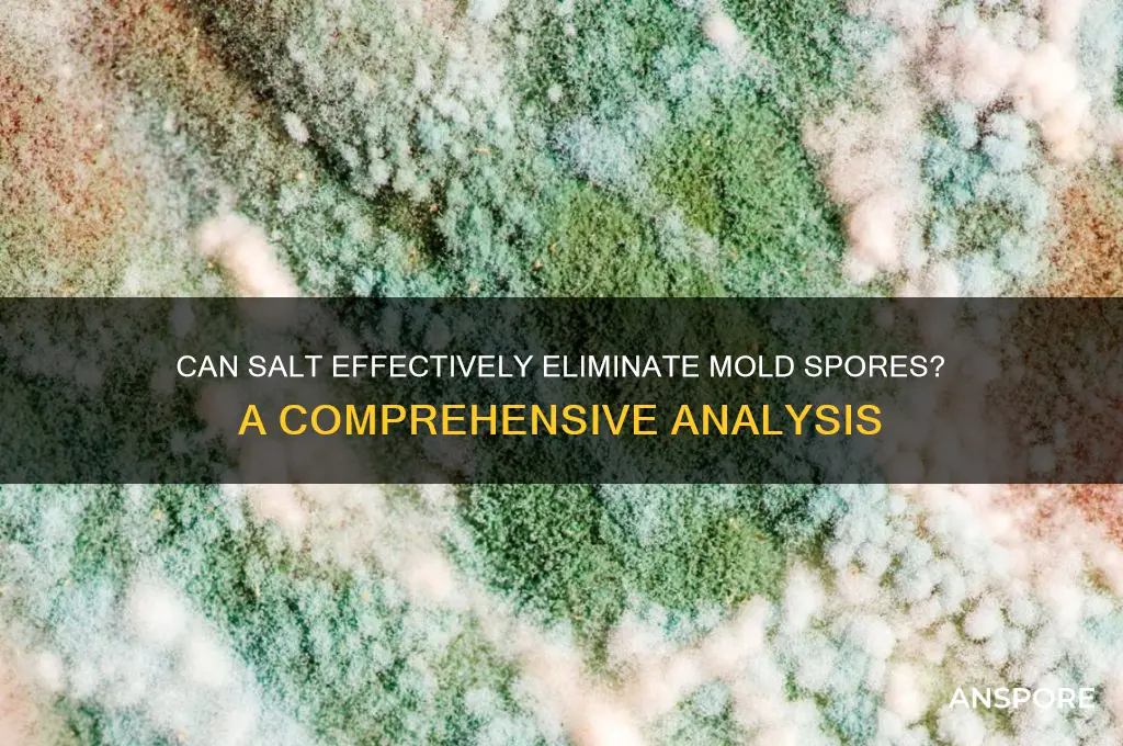 does salt kill mold spores