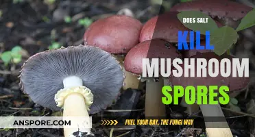 Salt Solution: Killing Mushroom Spores