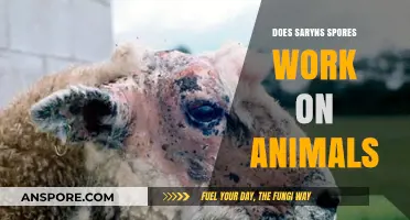 Do Saryn's Spores Affect Animals? Exploring Warframe's Toxic Abilities