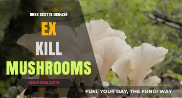 Scotts Disease EX: Effective Mushroom Killer?