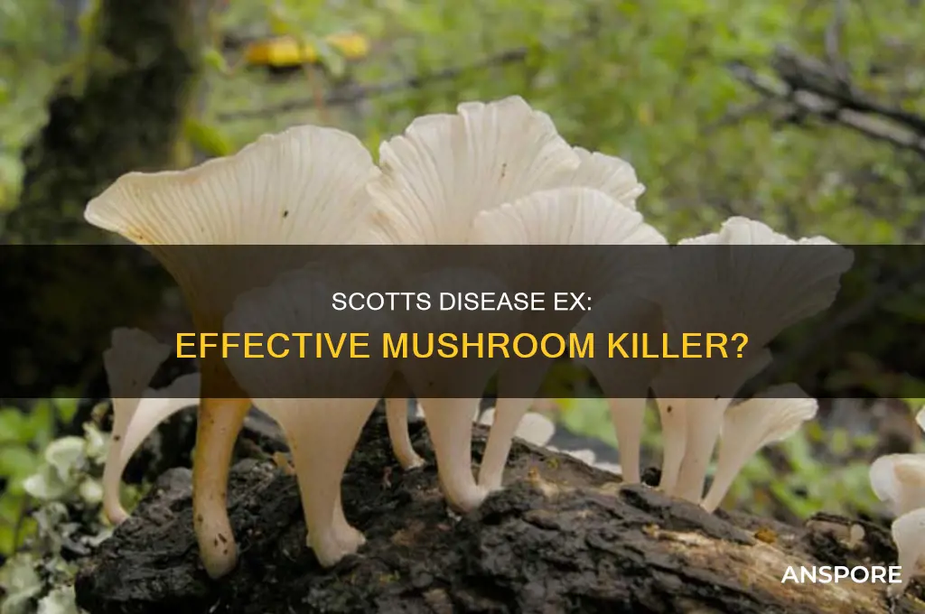 does scotts disease ex kill mushrooms