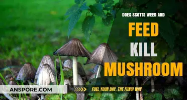 How Scotts Weed and Feed Controls Mushrooms and Weeds