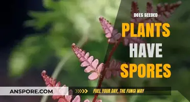 Do Seeded Plants Produce Spores? Unraveling Plant Reproduction Myths