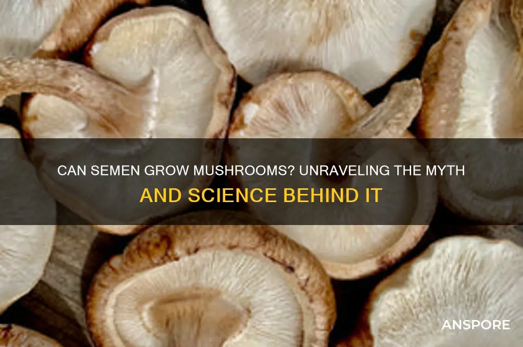 does semen grow into mushrooms