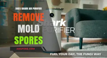 Shark Air Purifier: Effective Mold Spores Removal Solution?