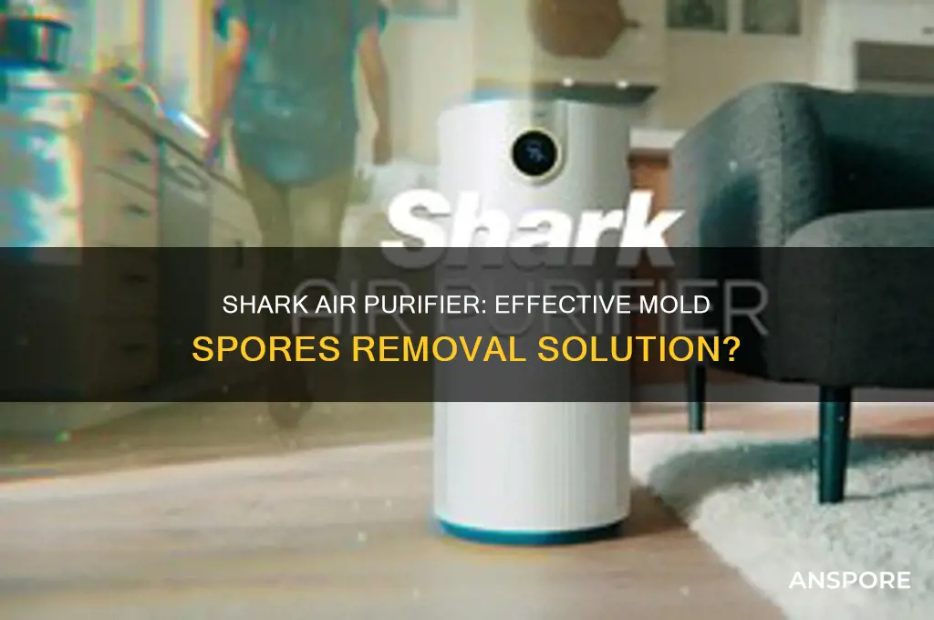 does shark air purifier remove mold spores
