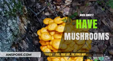 Where to Find Fresh Mushrooms: Sheetz and Beyond