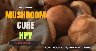 Shiitake Mushrooms: Natural HPV Treatment?