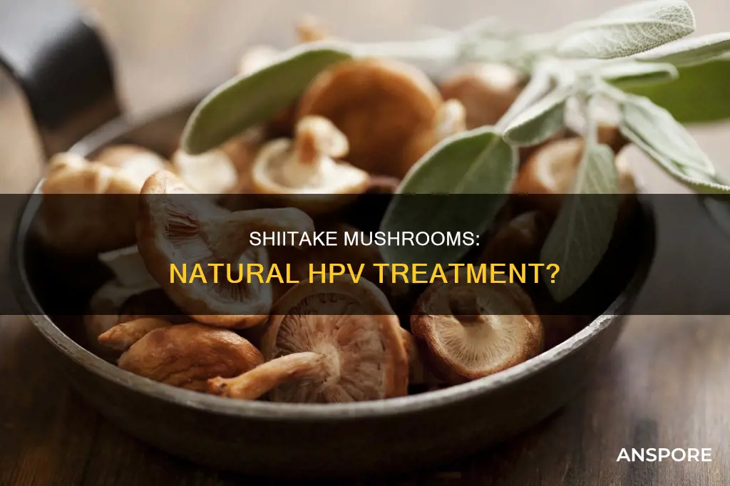 does shiitake mushroom cure hpv