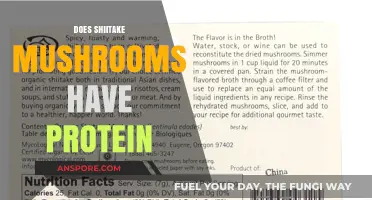 Shiitake Mushrooms: A Good Source of Protein?