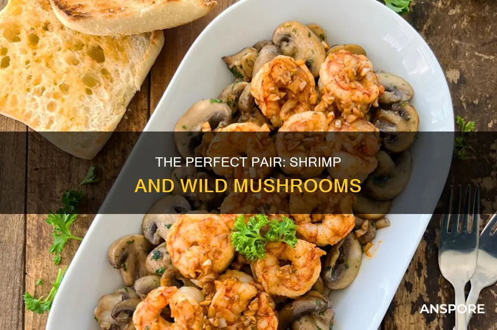 does shrimp pair well with wild mushrooms