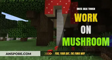 Silk Touch: Friend or Foe to Mushrooms?