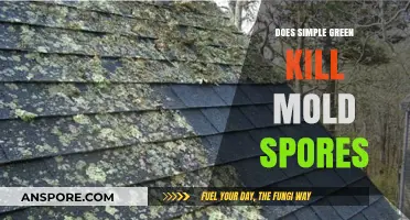 Simple Green's Effectiveness: Can It Eliminate Mold Spores Effectively?