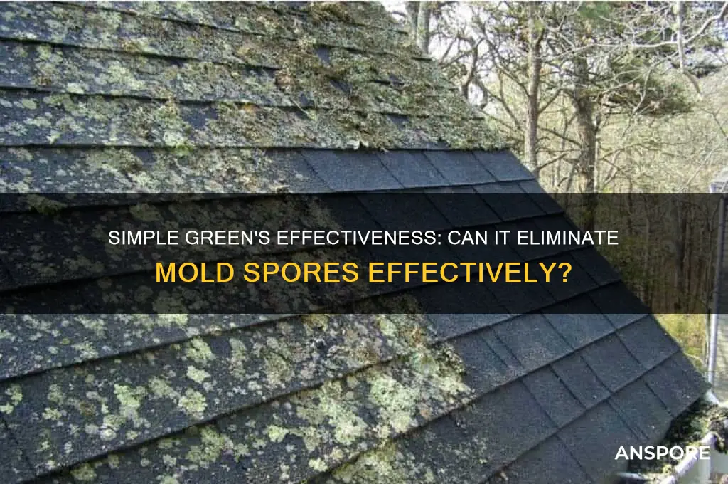 does simple green kill mold spores