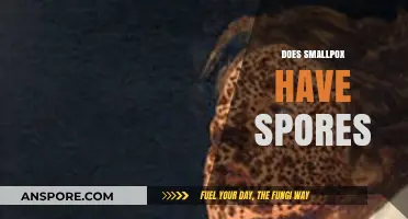 Smallpox Spores: Unraveling the Truth Behind the Virus's Survival