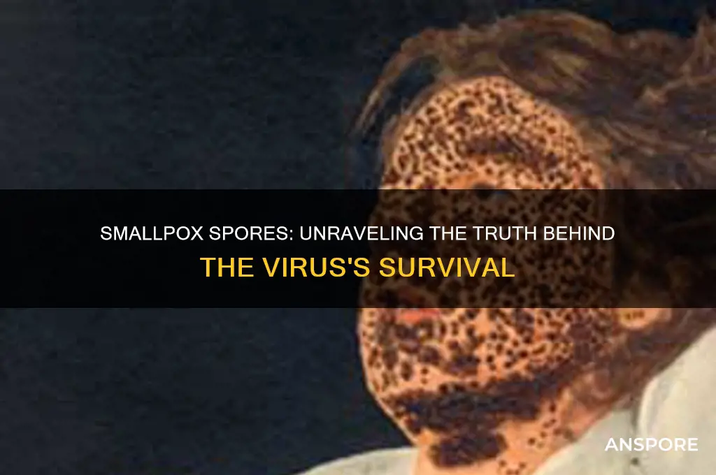 does smallpox have spores