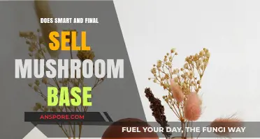 Smart & Final: Mushroom Base Availability and Options