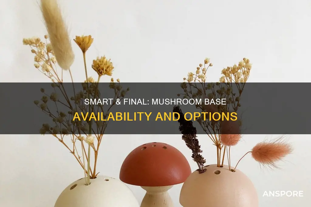 does smart and final sell mushroom base