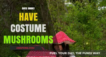 Costume Mushrooms in SMM2: What You Need to Know