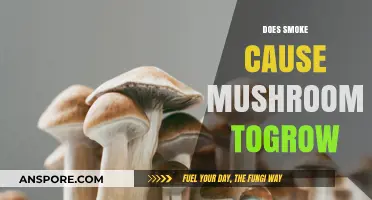Smoke and Mushrooms: A Growth Mystery