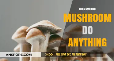 Does Smoking Mushrooms Get You High?
