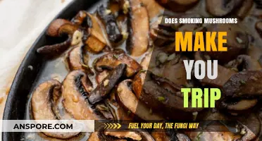 Smoking Mushrooms: Does It Induce a Psychedelic Trip or Not?