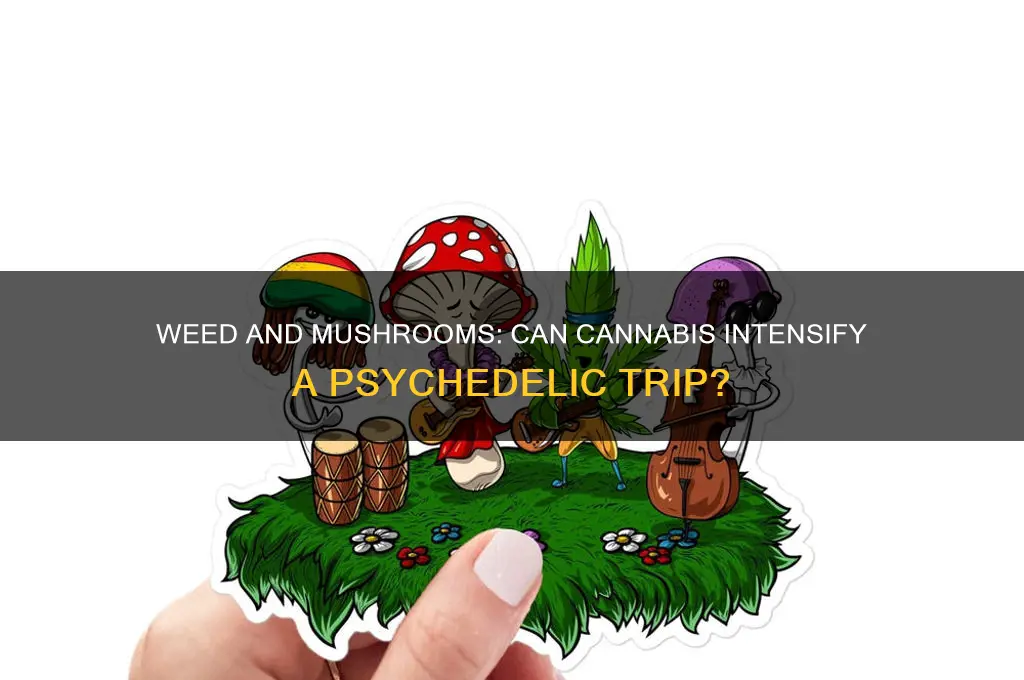 does smoking weed cause you to trip after eating mushrooms
