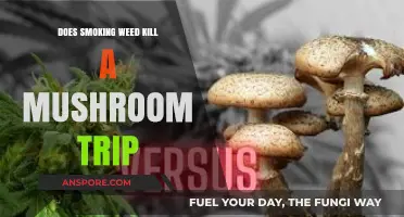 Weed and Shrooms: Enhancing or Killing the Trip?