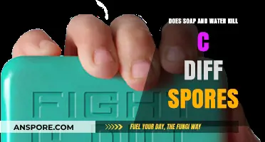 Can Soap and Water Effectively Kill C. Diff Spores?