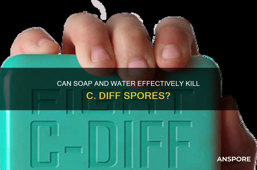 does soap and water kill c diff spores