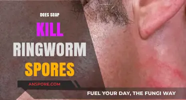 Can Soap Eliminate Ringworm Spores? Debunking Myths and Facts