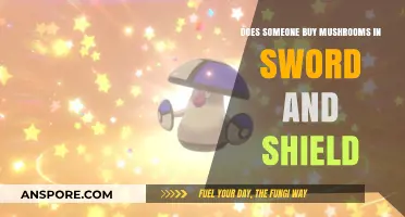 Buying Mushrooms in Pokémon Sword and Shield: A Viable Strategy?