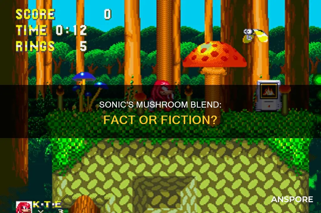 does sonic blend mushroom into their hamburgers