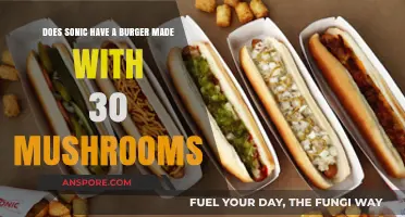 Mushroom Extravaganza: Sonic's 30-Fungus Patty Burger