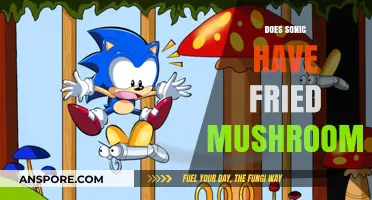 Sonic's Fried Mushrooms: What's the Deal?