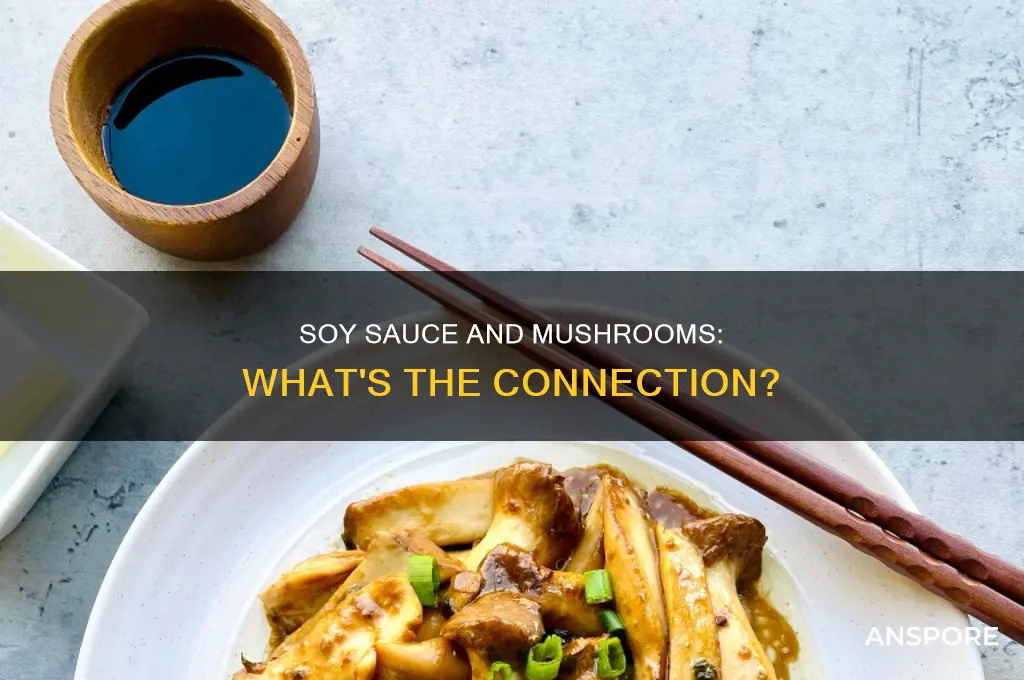 does soy sauce always have mushrooms in it