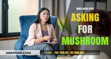 How Sozo Therapy Helps Stop Mushroom Addiction