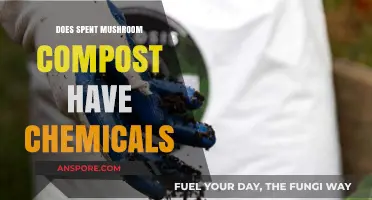 Mushroom Compost: Natural or Chemical-Based?